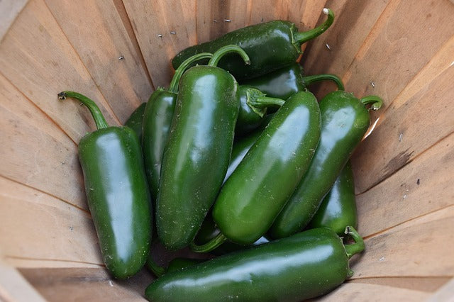 Jalapeño Popper Chicken Chili Recipe - Bubb Market