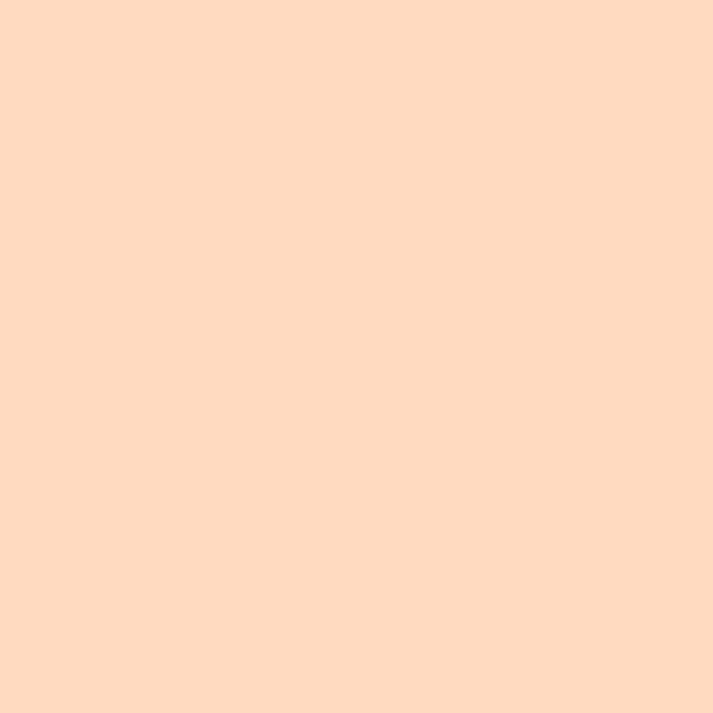 Melon Pastel Solid Photography Backdrop