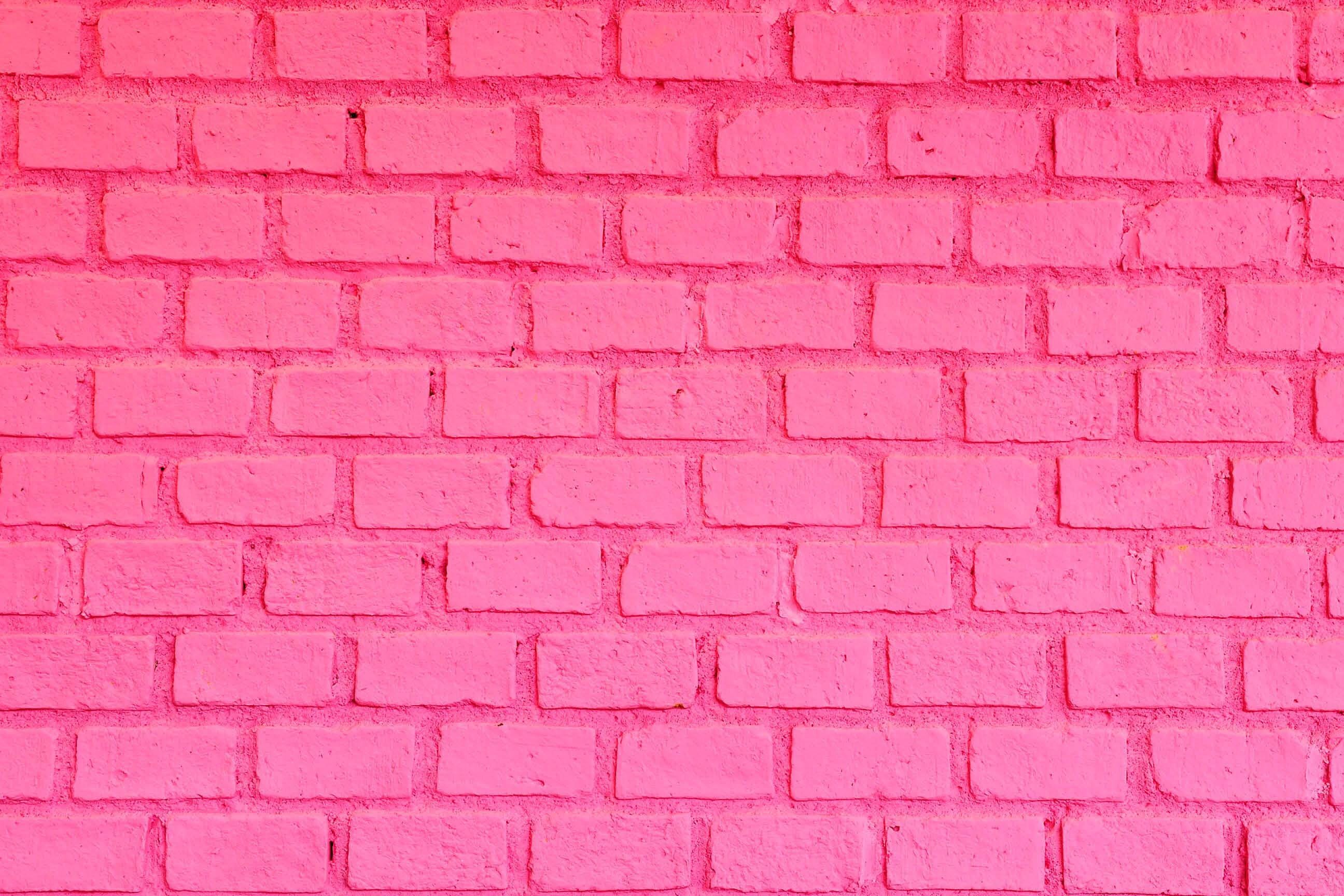 Hot Pink Brick Photography Backdrop