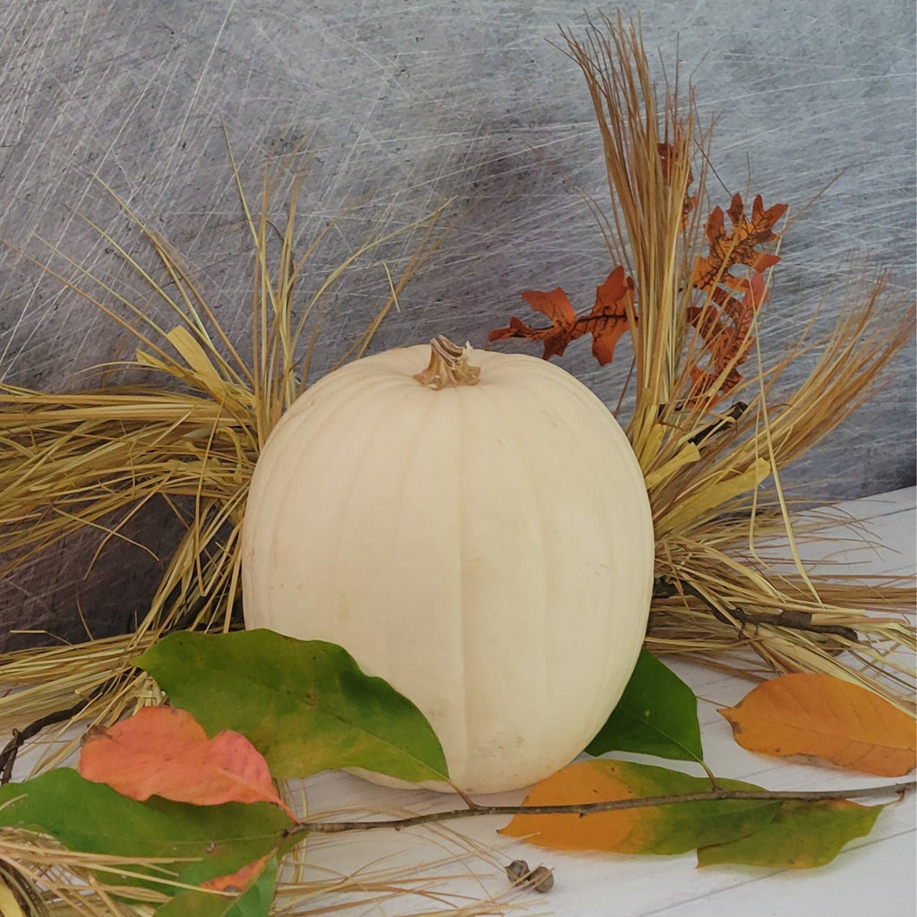 Photography Backdrop Stands | Turn your flat lays into an instant photo studio | Use with our Rigid Backdrops