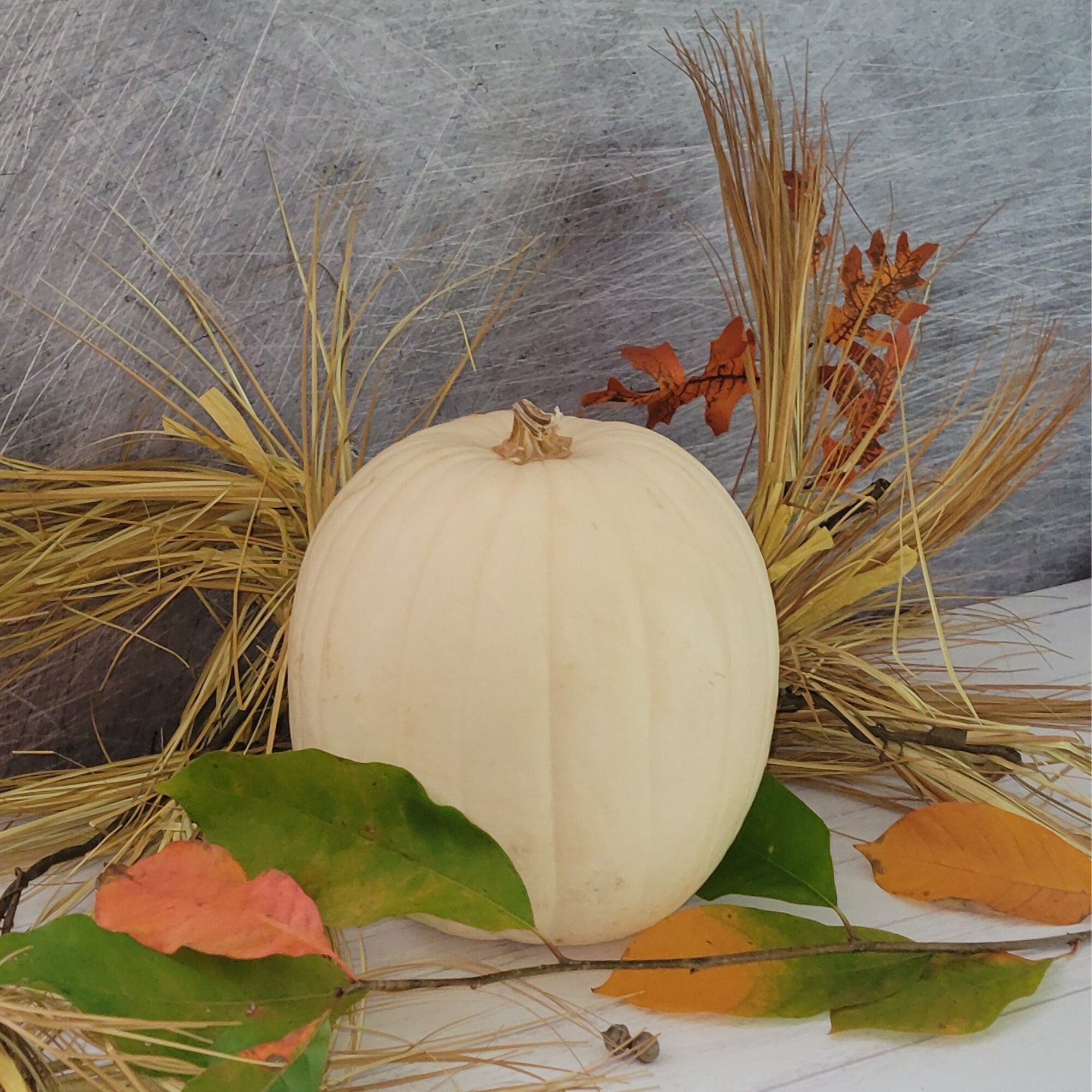 Photography Backdrop Stands | Turn your flat lays into an instant photo studio | Use with our Rigid Backdrops