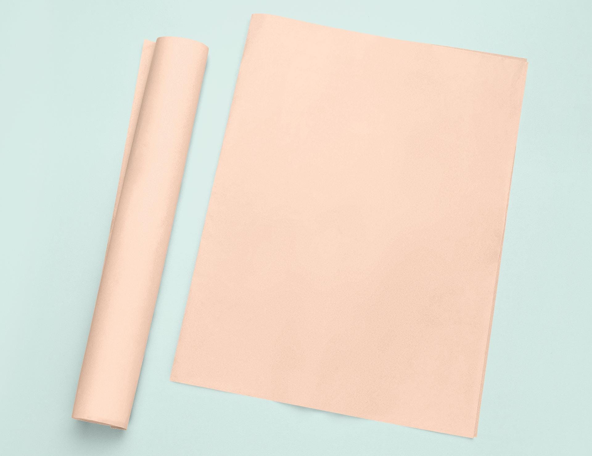 a roll of paper next to a roll of paper
