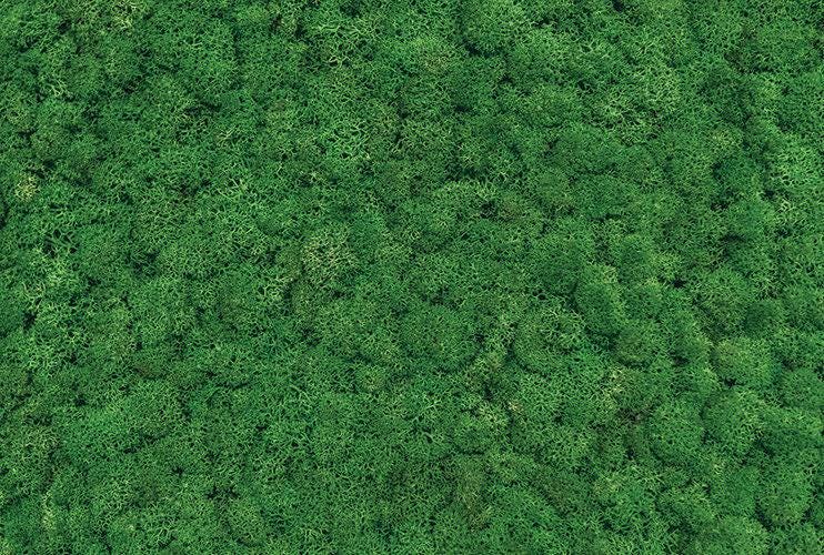 Moss Living Wall Photography Backdrop