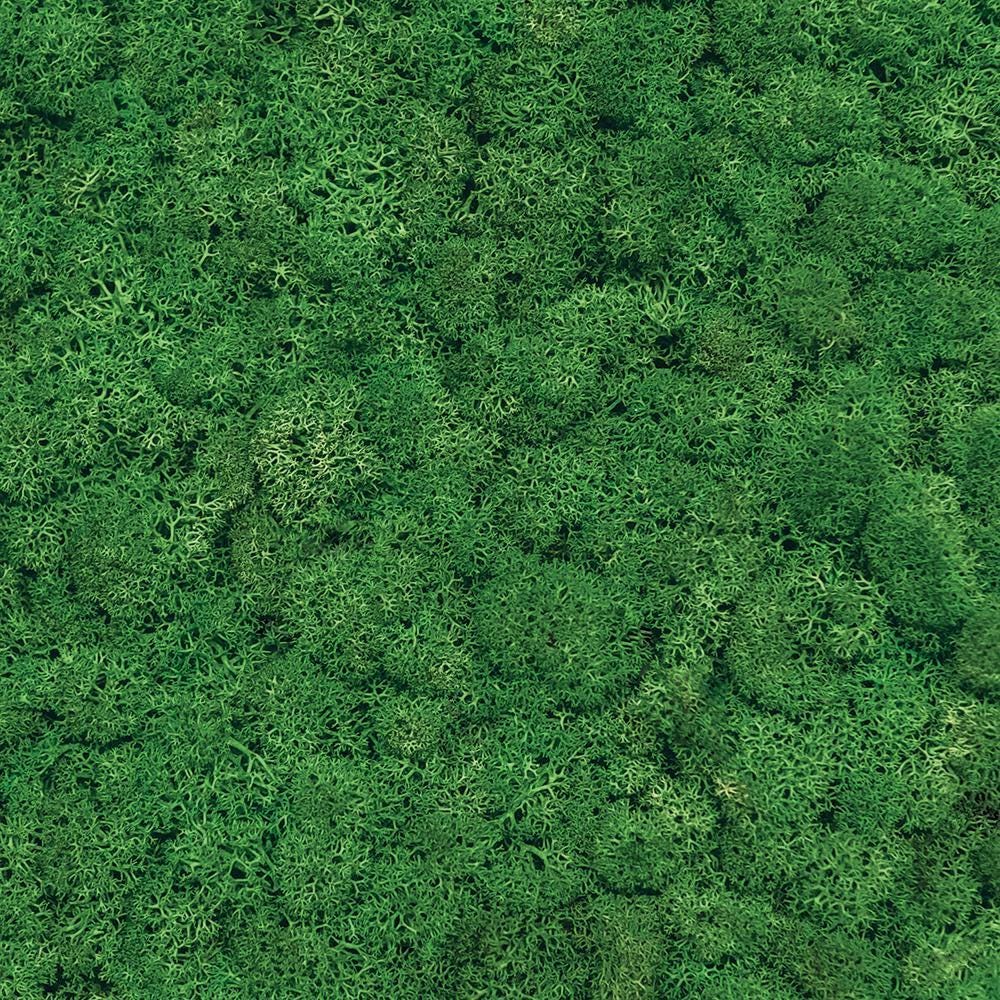 Moss Living Wall Photography Backdrop