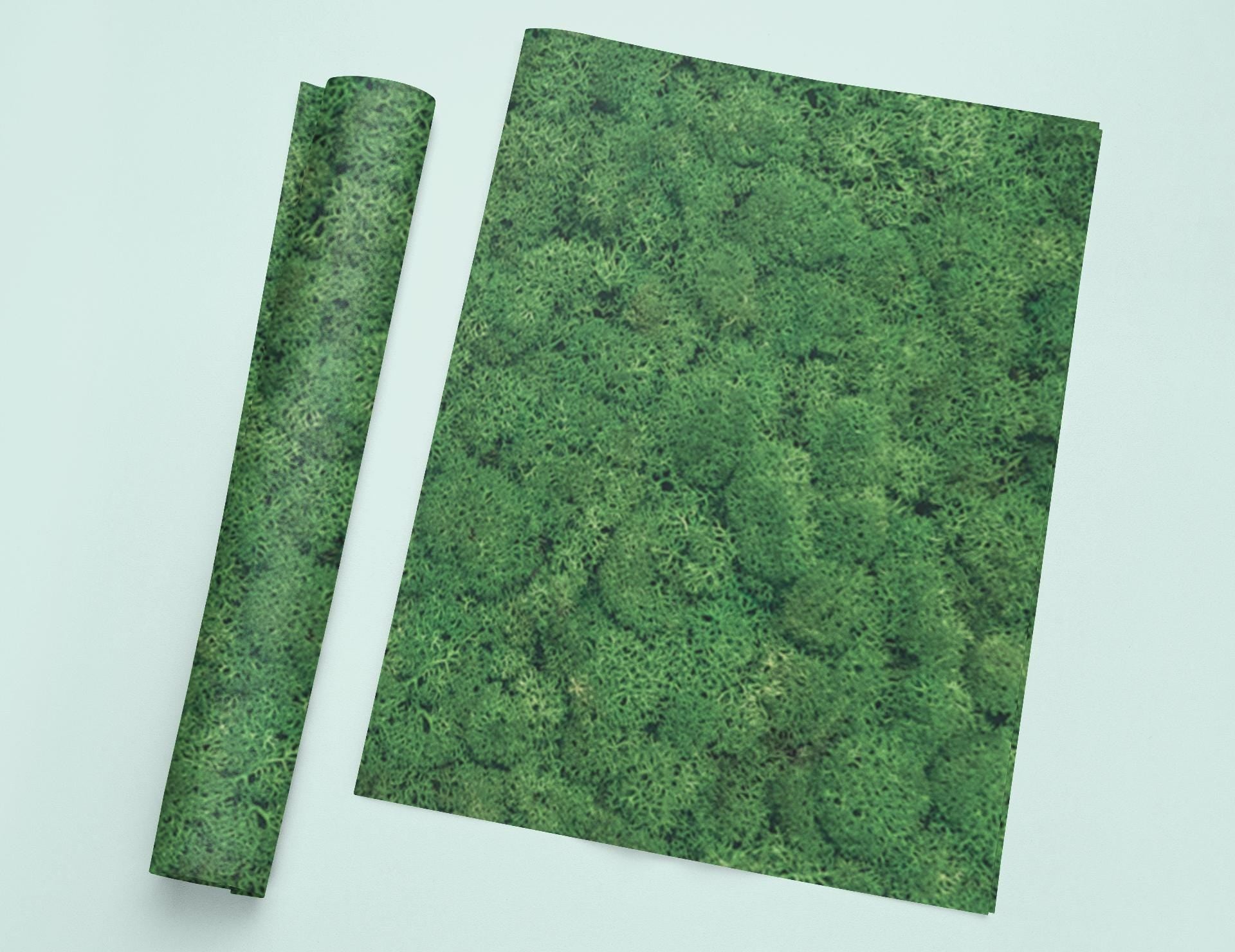 a piece of paper with a picture of trees on it