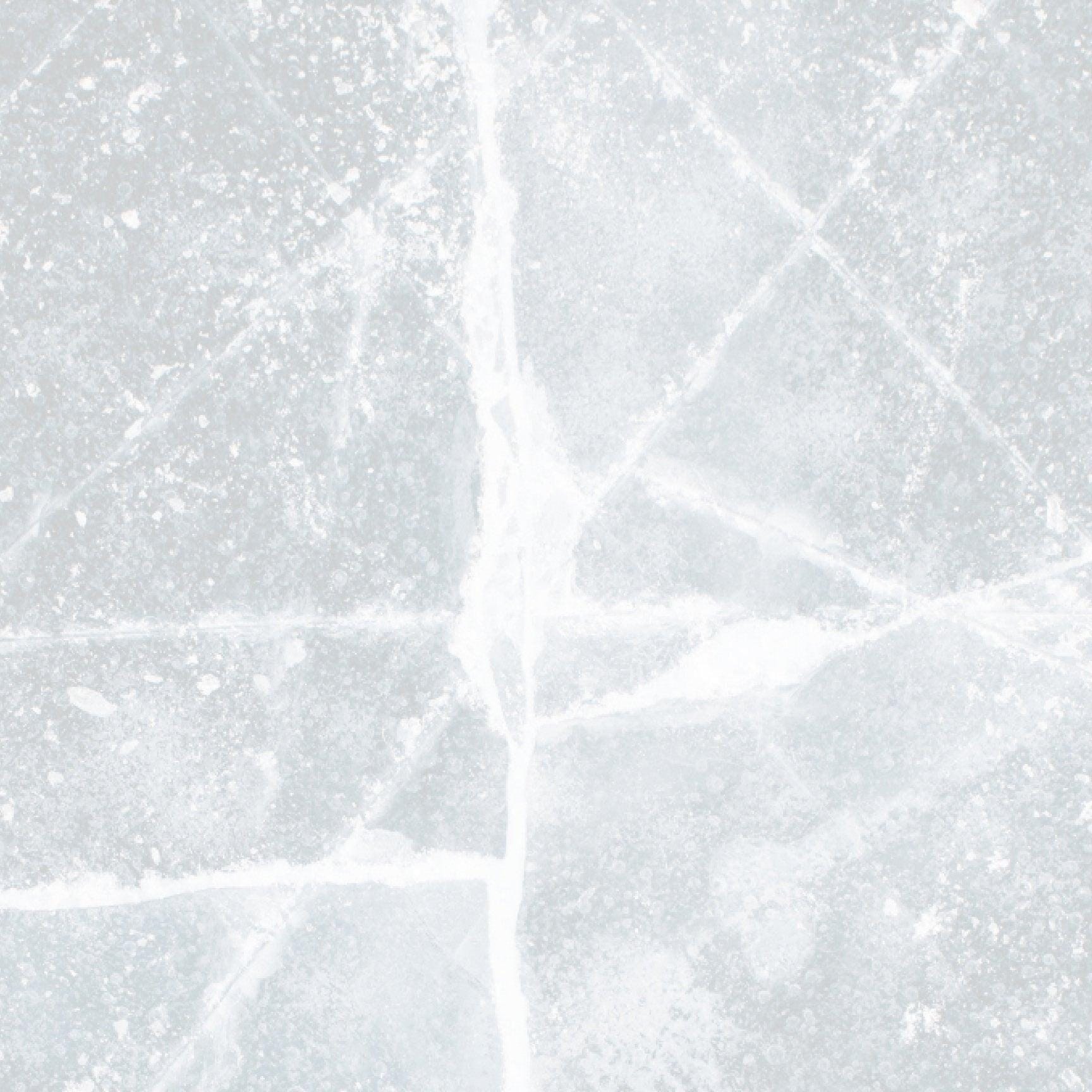 Ice Photography Backdrop