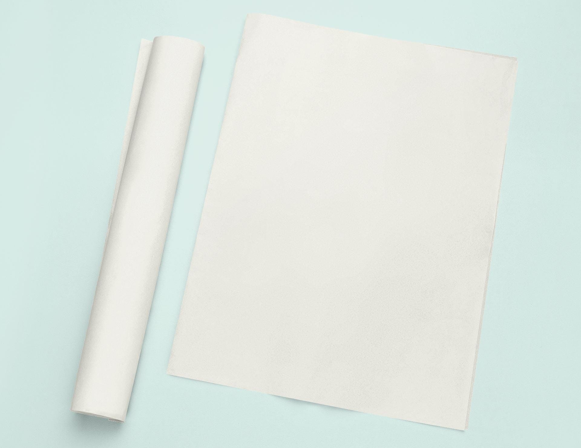 a roll of white paper next to a roll of white paper