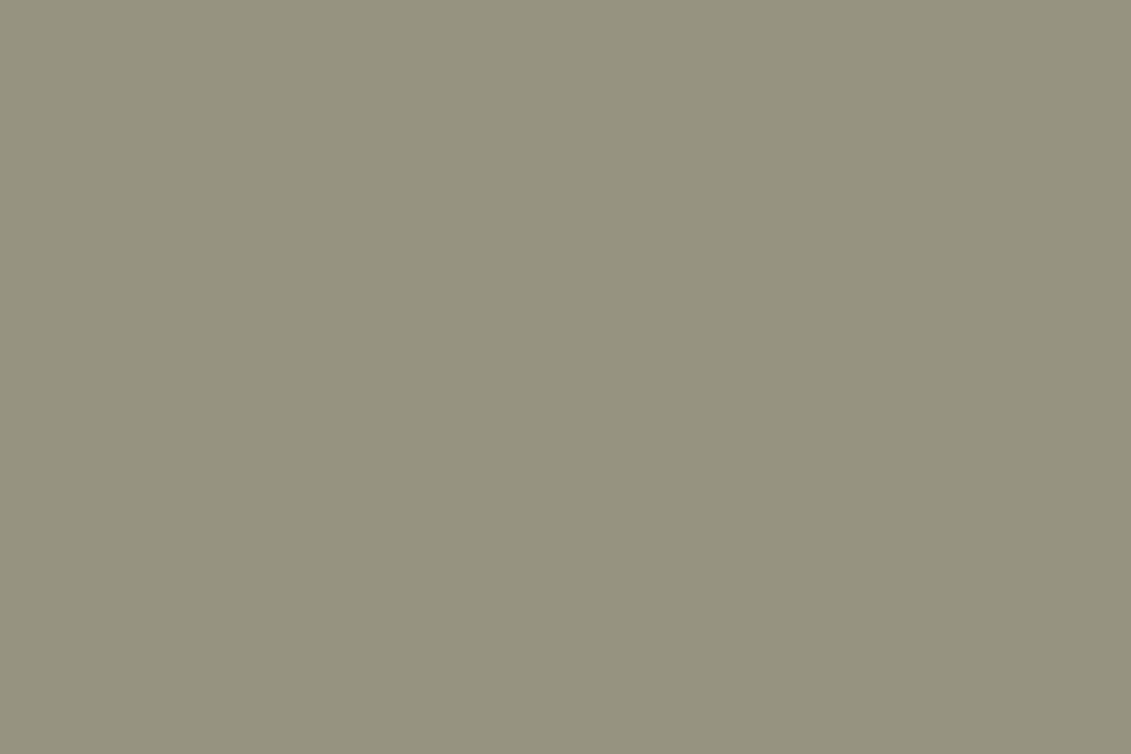 Olive Solid Photography Backdrop