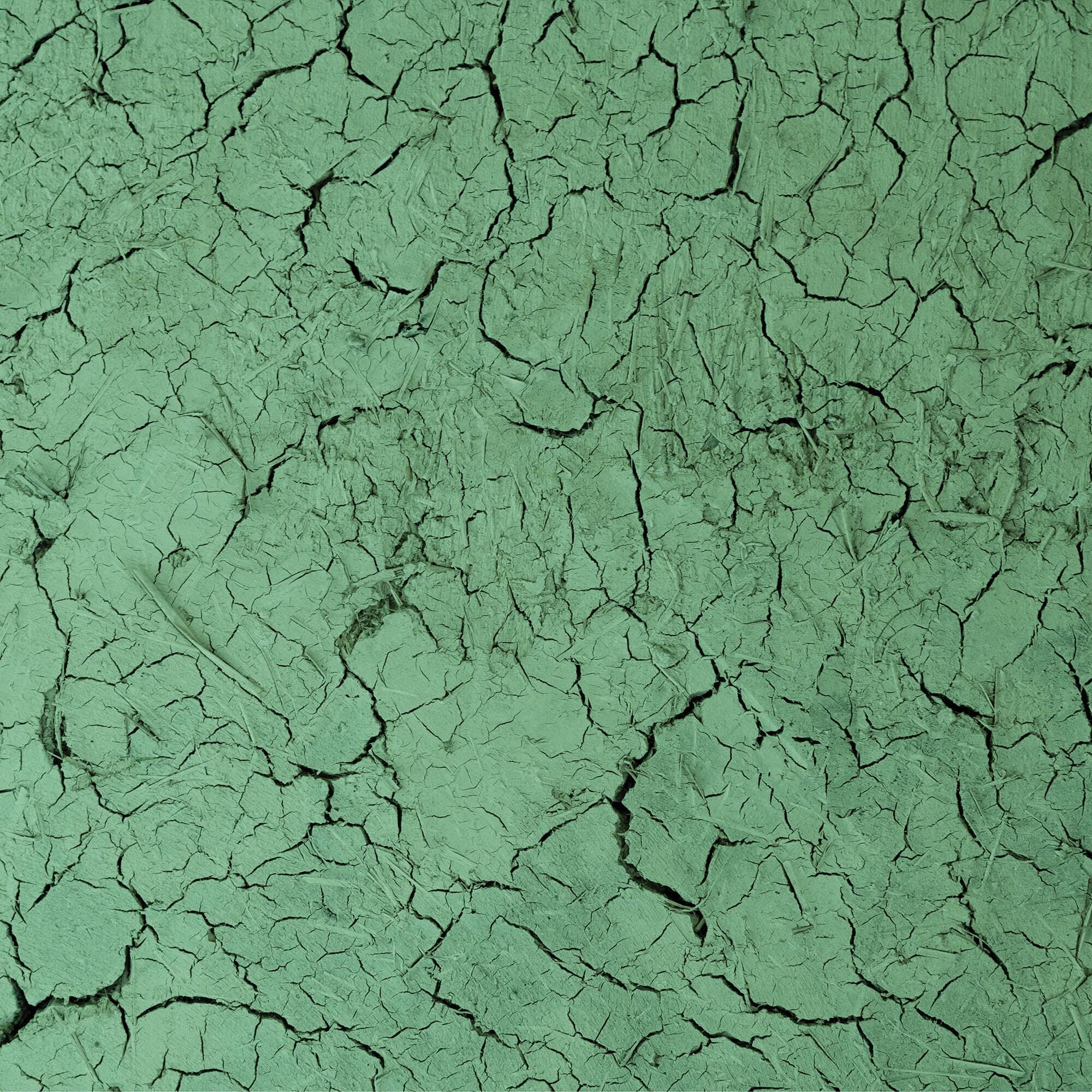 Cracked Green Photography Backdrop
