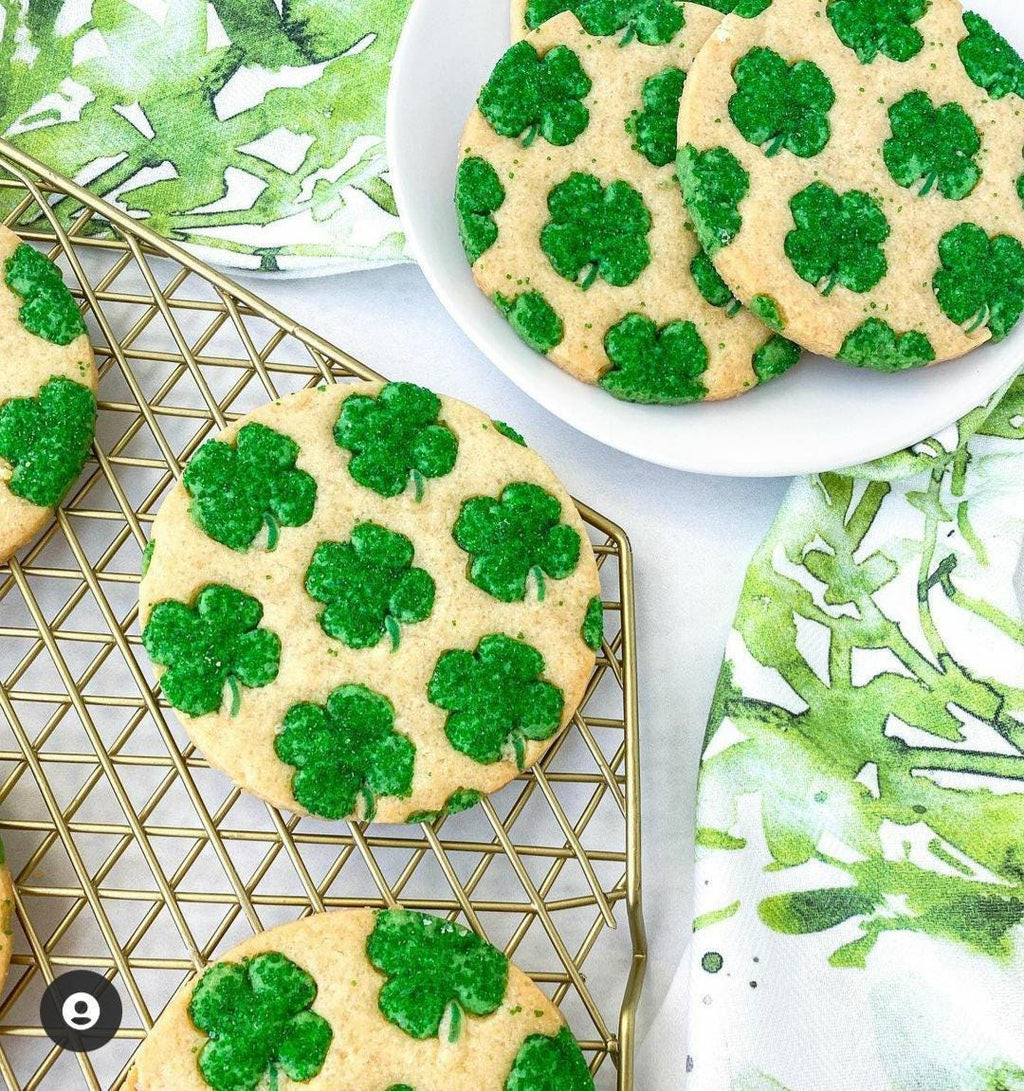 Moss Living Wall Photography Backdrop